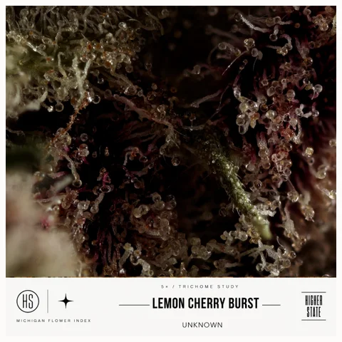 Lemon Cherry Burst by Cloud Farms — ultra-macro detail