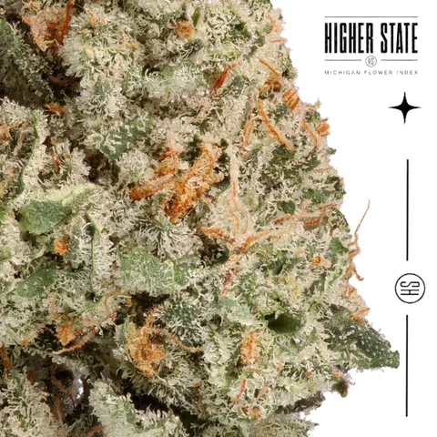 Purple Limeade by Guerilla Grown — macro detail