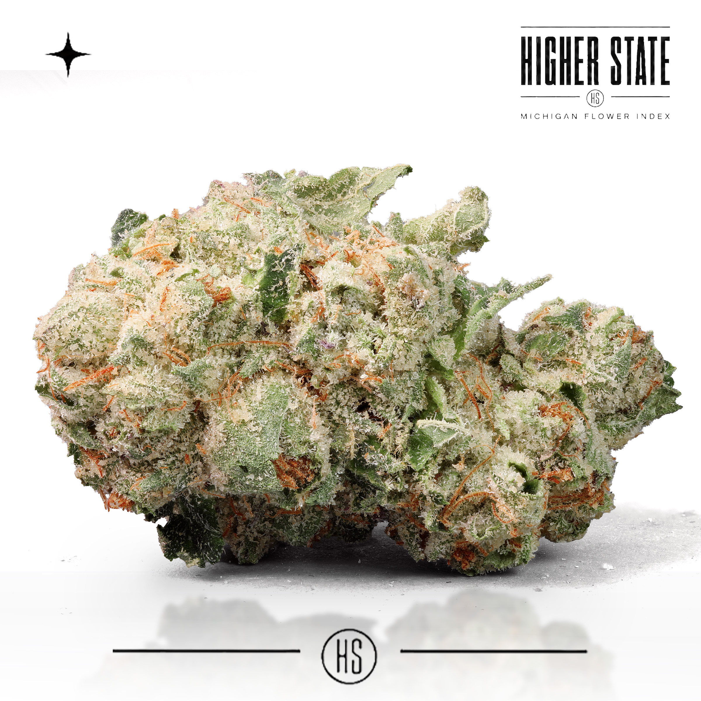 Cherry Slushie by Narvona — whole flower